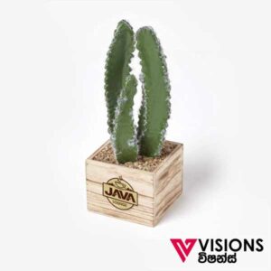 Plant Corporate Cactus Vas Gifts Sri Lanka